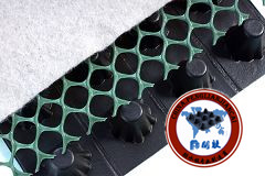 塑料排水板www.dgxfhbkj.com